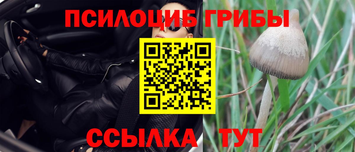 Галлюциногенные грибы ЛСД Первоуральск