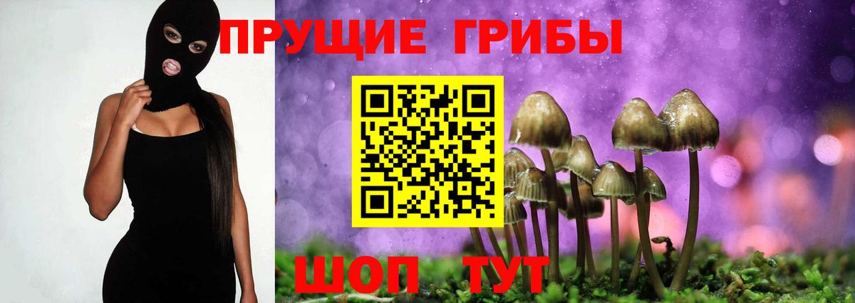 Псилоцибиновые грибы MAGIC MUSHROOMS  Вход с VPN  Первоуральск 